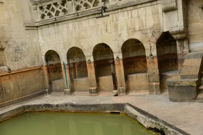 DSC_2674 (Large).JPG